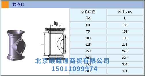 檢查口