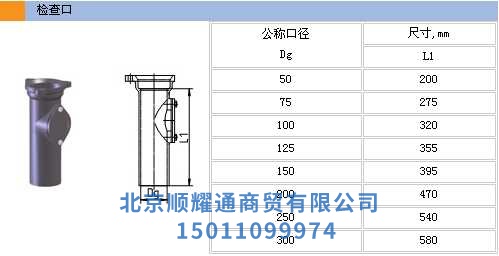 檢查口