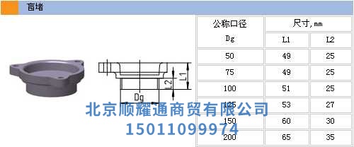 盲堵